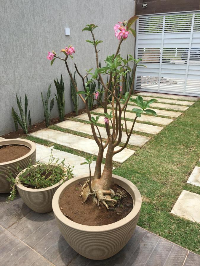 Casa De Praia Tamandare Ngoại thất bức ảnh